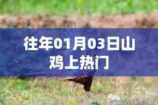 山鸡成为热门话题,时间回溯至往年一月三日