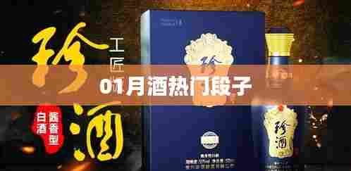 精选酒桌热门段子，让你笑不停歇！