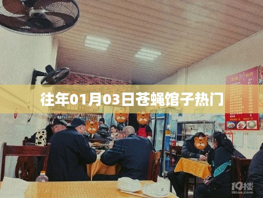 热门苍蝇馆子跨年回顾