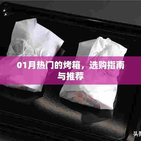 继晷焚膏 第2页