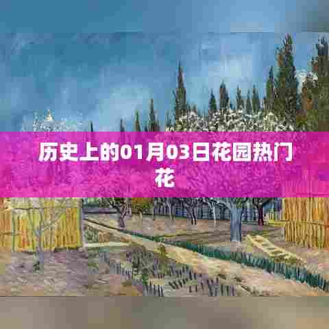 「花园热门花的历史，一月三日探寻花语世界」