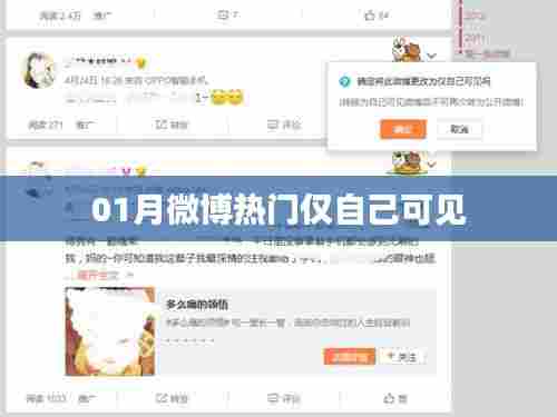 微博热门话题一月回顾，仅自己可见的那些事