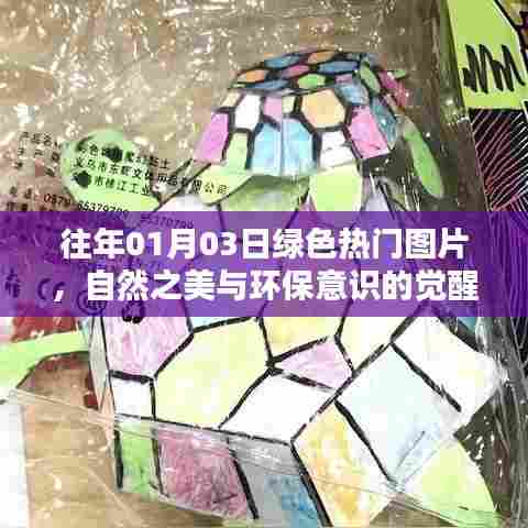 碧瓦飞甍 第2页