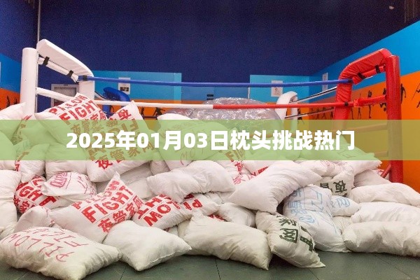 衣不重采 第2页