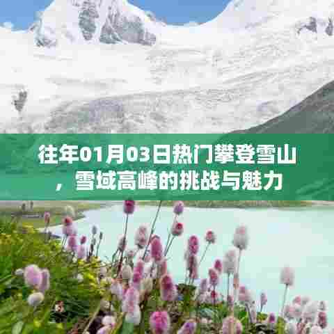 雪域高峰挑战与魅力,登山者的狂欢日