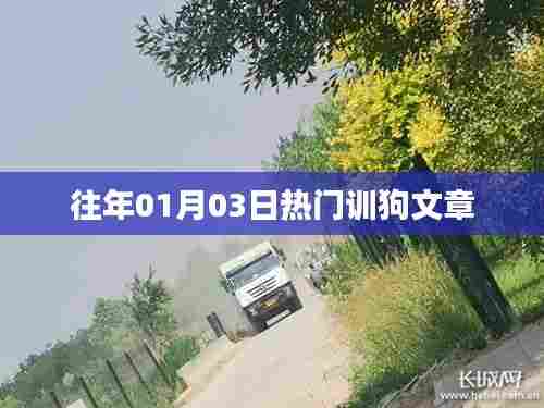 精选热门驯狗文章,从入门到进阶的秘籍