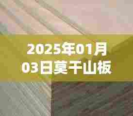 莫干山板材热门资讯，2025年1月3日行业动态