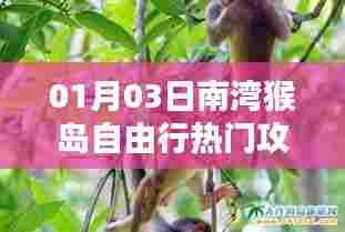 南湾猴岛自由行攻略指南，热门行程一网打尽