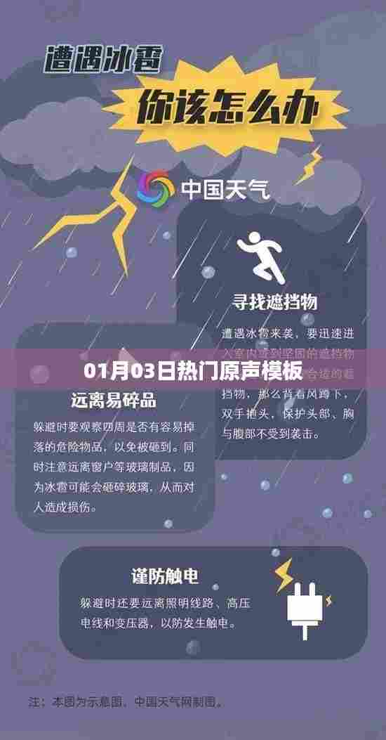 热门原声模板大揭秘，最新动态一网打尽（01月03日）