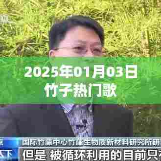 竹子热门歌曲榜(2025年1月3日)