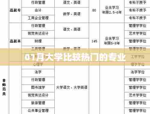 热门大学专业比较，一月最新排名解析