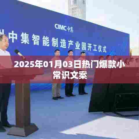 腾龙换鸟 第2页