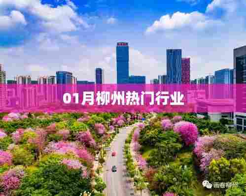 柳州热门行业概览(一月份动态)