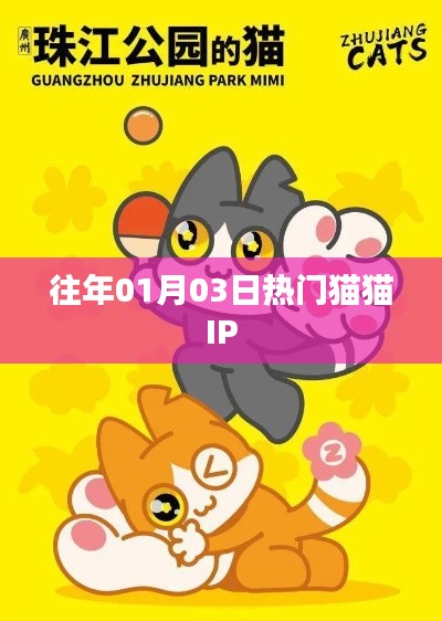 『猫猫IP热门日』跨年热度持续升温