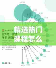 精选热门课程深度解析,一月三日趋势展望