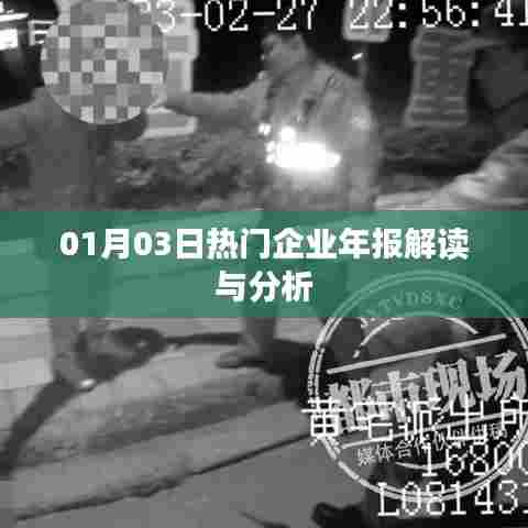 热门企业年报解读与分析，洞悉企业发展趋势
