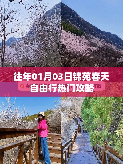 锦苑春天自由行,热门攻略揭秘