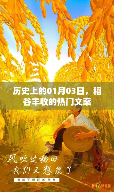 历史稻谷丰收日，一月三日丰收文案回顾