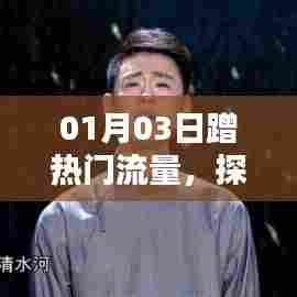 揭秘网络热潮,热门流量探索之旅