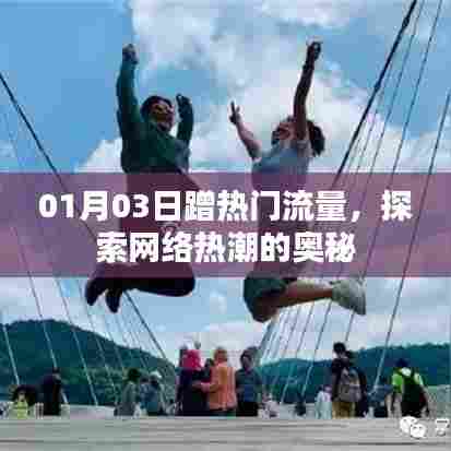 揭秘网络热潮,热门流量探索之旅