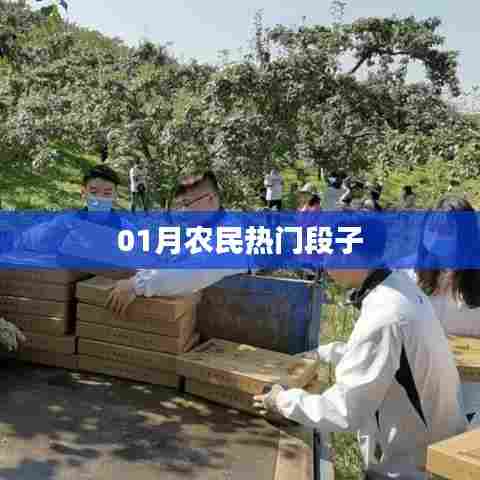 农民一月热门段子盘点