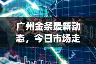 广州金条最新动态,今日市场走势及投资者关注焦点