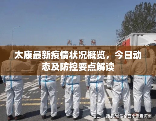 太康最新疫情状况概览,今日动态及防控要点解读
