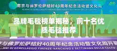 品牌毛毯榜单揭秘,前十名优质毛毯推荐