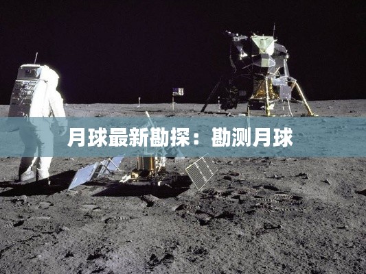 伸手不见五指 第2页