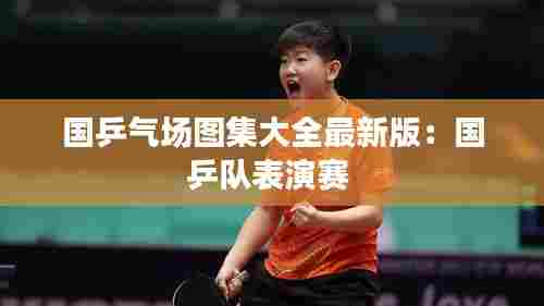 国乒气场图集大全最新版:国乒队表演赛