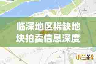 临深地区稀缺地块拍卖信息深度解析,最新动态一网打尽