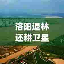 洛阳退林还耕卫星政策最新:河南退林还耕有法律条文吗