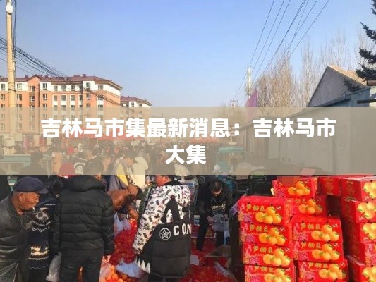 吉林马市集最新消息:吉林马市大集