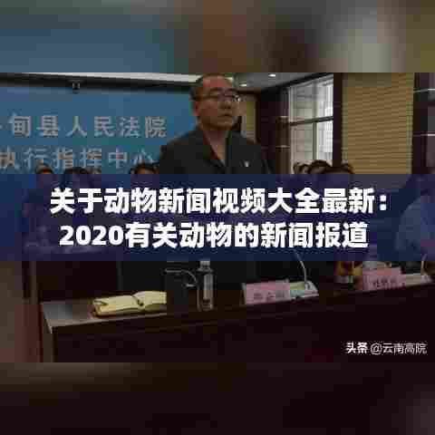 关于动物新闻视频大全最新：2020有关动物的新闻报道 