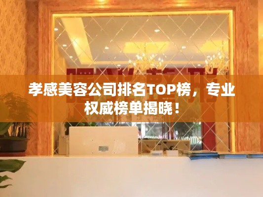 孝感美容公司排名TOP榜,专业权威榜单揭晓!