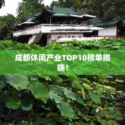 成都休闲产业TOP10榜单揭晓!