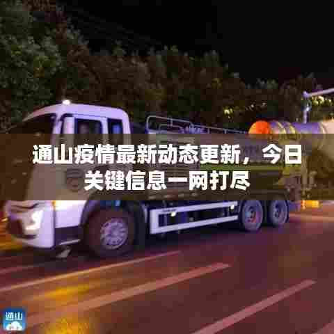 通山疫情最新动态更新，今日关键信息一网打尽