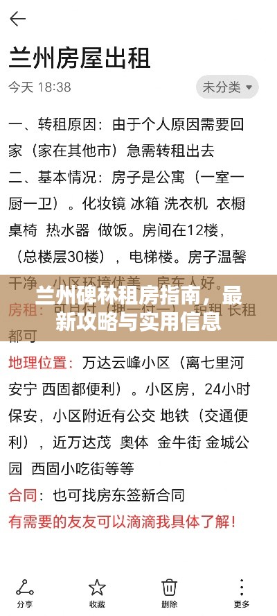 兰州碑林租房指南,最新攻略与实用信息