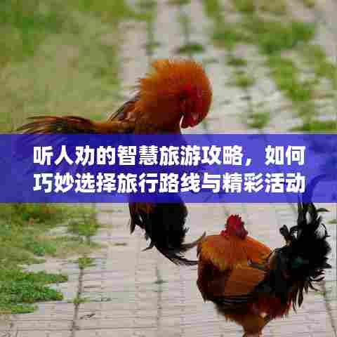 听人劝的智慧旅游攻略，如何巧妙选择旅行路线与精彩活动