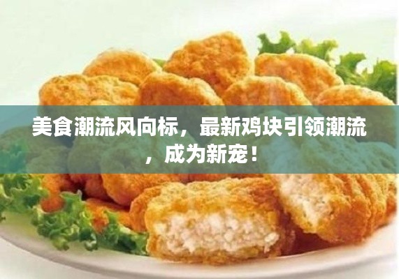 美食潮流风向标,最新鸡块引领潮流,成为新宠!