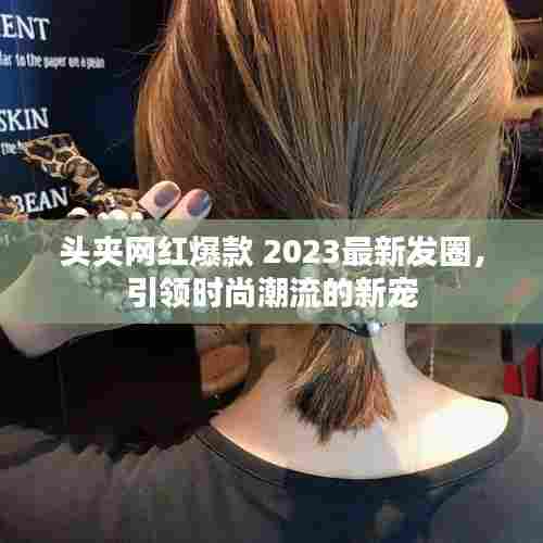 头夹网红爆款 2023最新发圈,引领时尚潮流的新宠