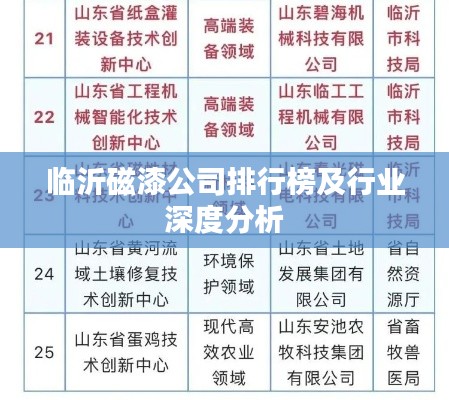 临沂磁漆公司排行榜及行业深度分析