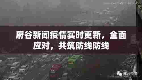 府谷新闻疫情实时更新,全面应对,共筑防线防线