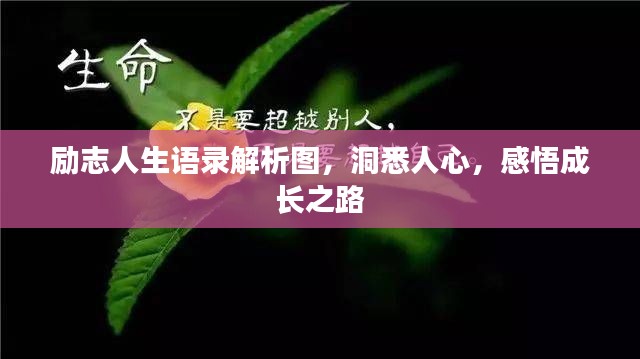 励志人生语录解析图，洞悉人心，感悟成长之路