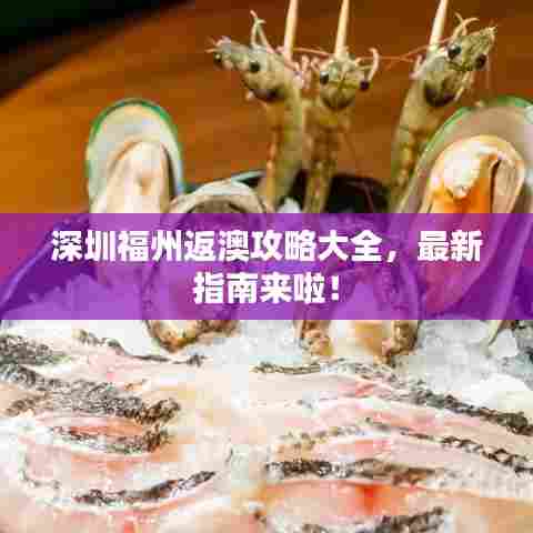 深圳福州返澳攻略大全,最新指南来啦!