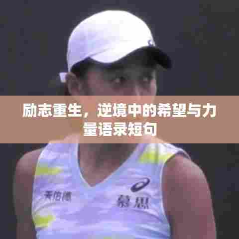 水浄鹅飞 第2页