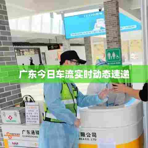 广东今日车流实时动态速递
