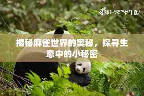 揭秘麻雀世界的奥秘，探寻生态中的小秘密