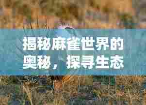揭秘麻雀世界的奥秘,探寻生态中的小秘密