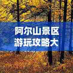 阿尔山景区游玩攻略大全！必看的旅游指南！